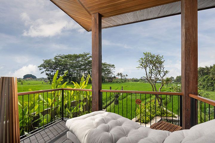 🌾 Hidden Paradise: Discovering Paddy View Resort Experiences